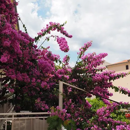 Apartmani Makarska * מאקרסקה